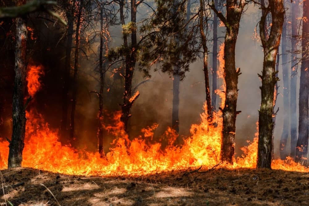 Montgomery County issues burn ban amid worsening drought conditions