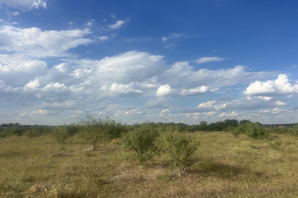 Universal City votes to extend ETJ agreements for property owners surrounding Cibolo Creek