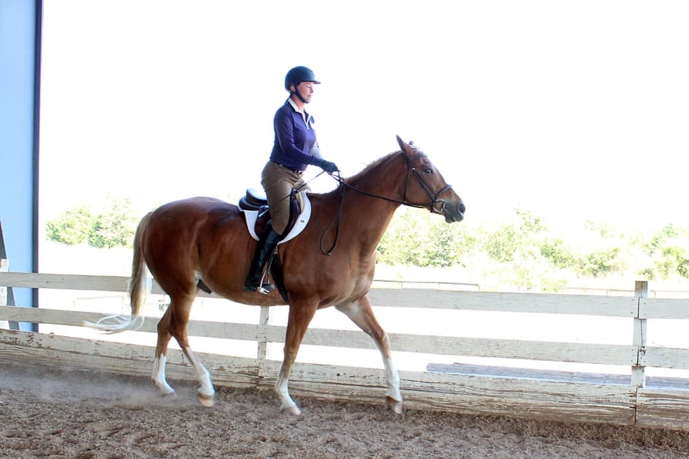 Female riding a horse in a covered arena. 
