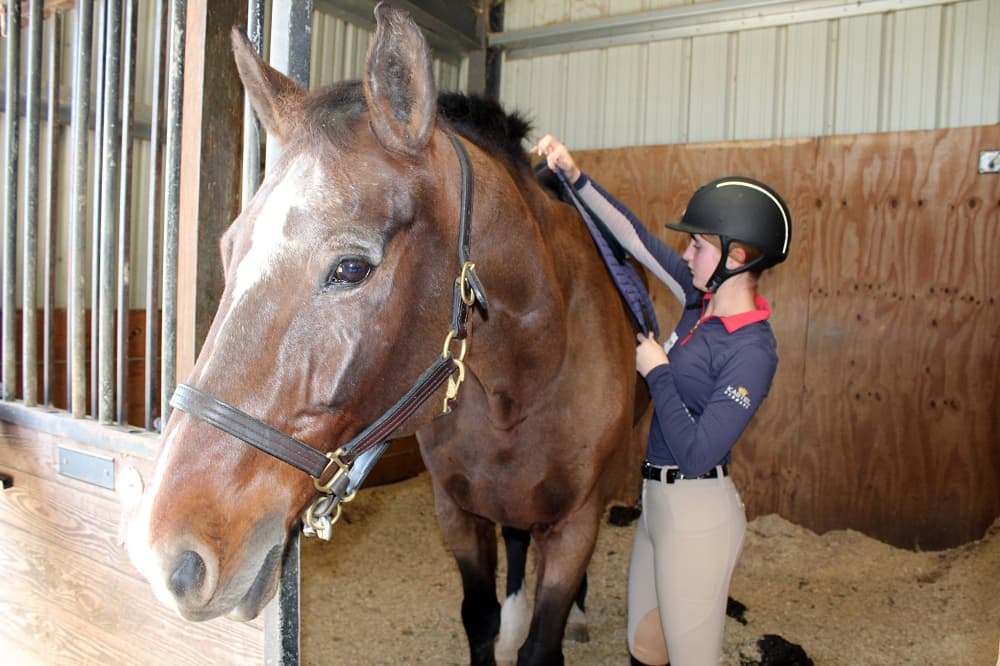 Female wearing equestrian gear puts a saddle pad on a brown horse in a horse stall.