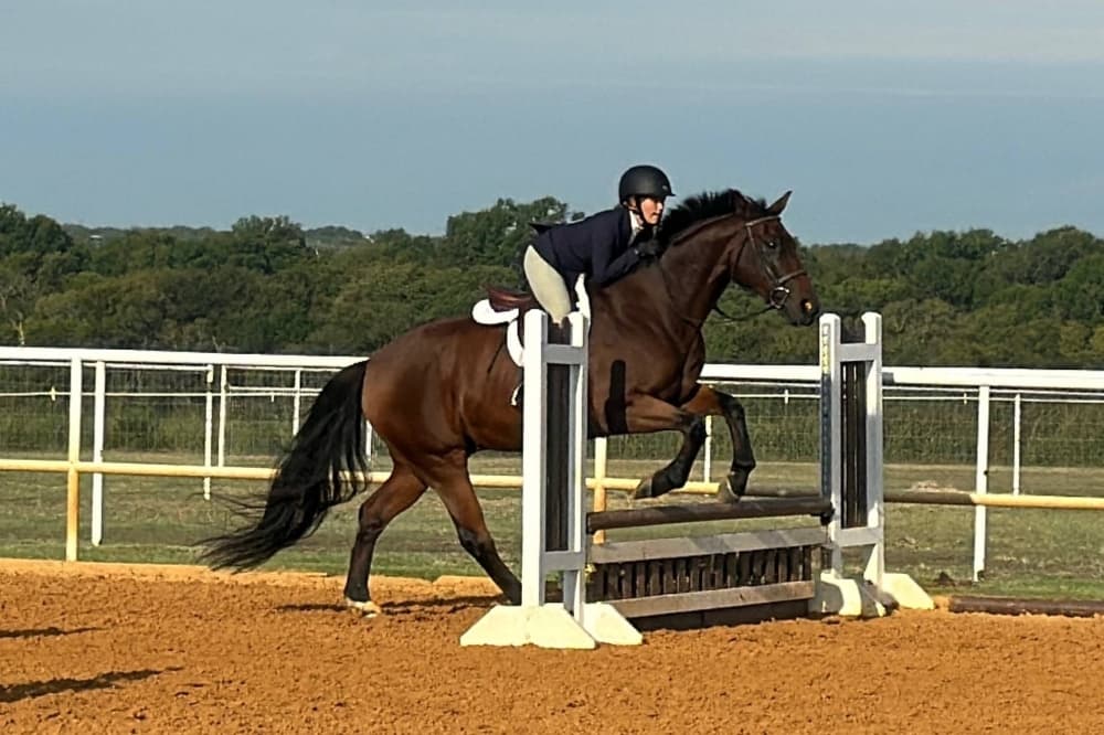 Stony Glen Stables offers equestrian sport lessons in Celina