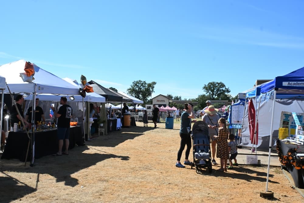 vendor tents are lined up in a row on a grassy area