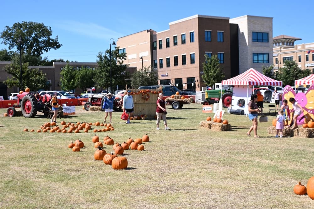 Individuals walk through a pumpkin patch.