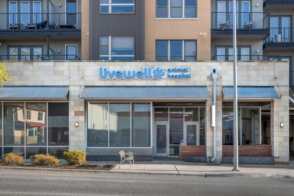 Livewell Animal Hospital opens new location in Katy