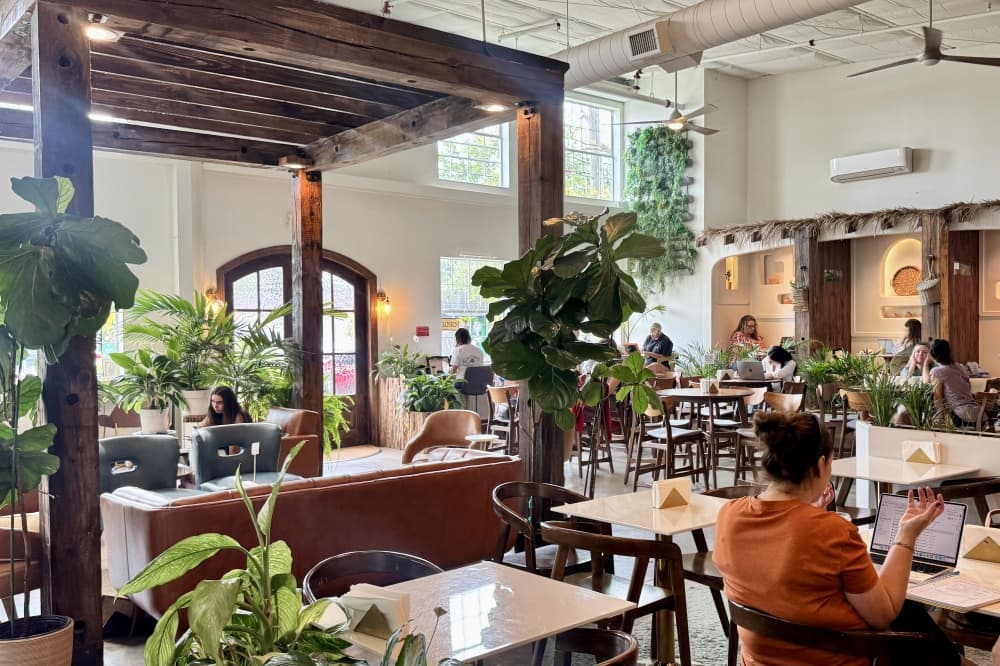 inside of a restaurant with tables and green plants
