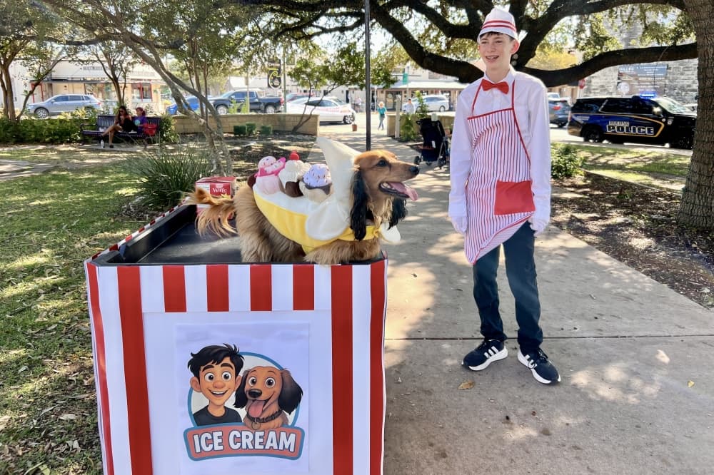 a dog wearing a banana split costume