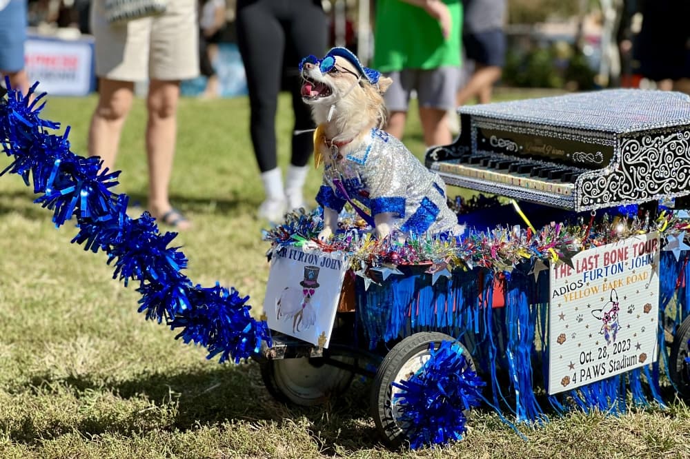 5th Annual Barktoberfest raises funds and promotes animal adoption in Boerne