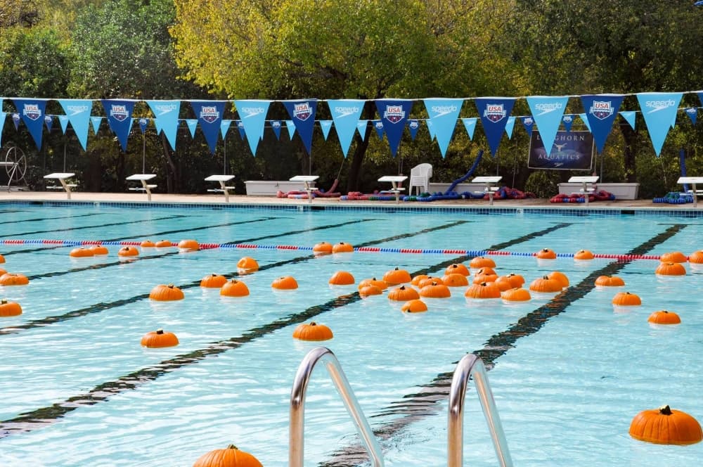 An image of pumpkins floating in a pool. 