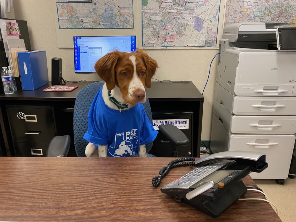 Following training, volunteers may bring in their dogs to visit patients in care facilities. (Courtesy Therapy Pet Pals of Texas)