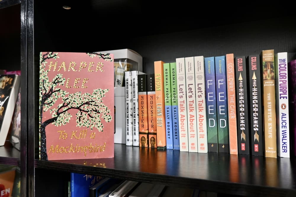 Local Pearland bookstore puts the lit back into literature