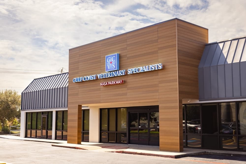 Gulf Coast Veterinary Specialists opens second location in Webster