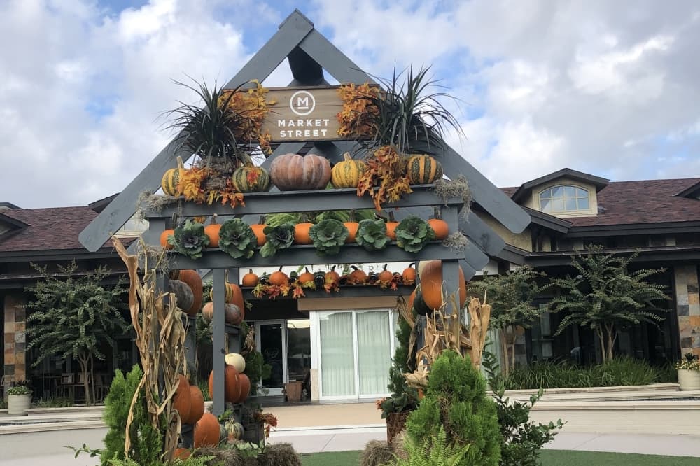 Halloween fun, free concert: 5 things to do in The Woodlands area, Oct. 30-Nov. 2