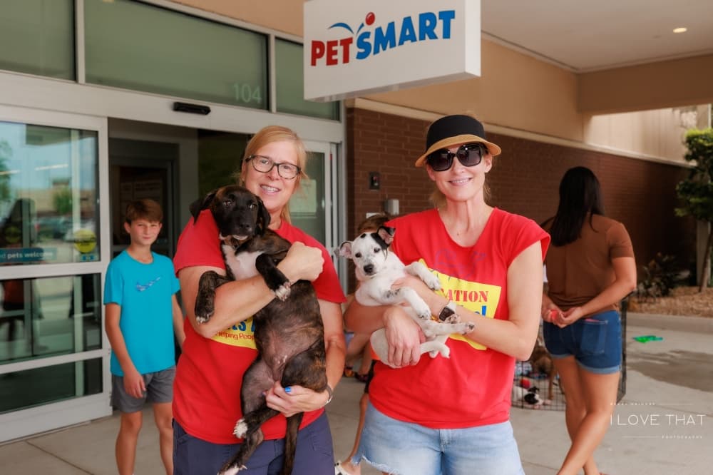 volunteers with pets