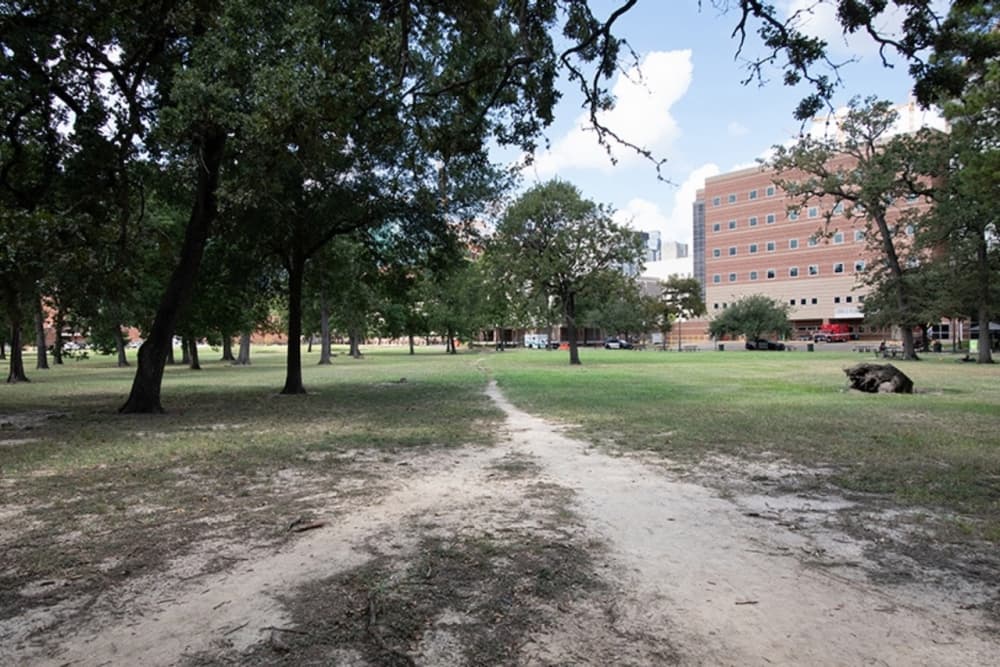 'It's a complicated process': Harris County commissioners delay Ben Taub expansion public hearing for community input