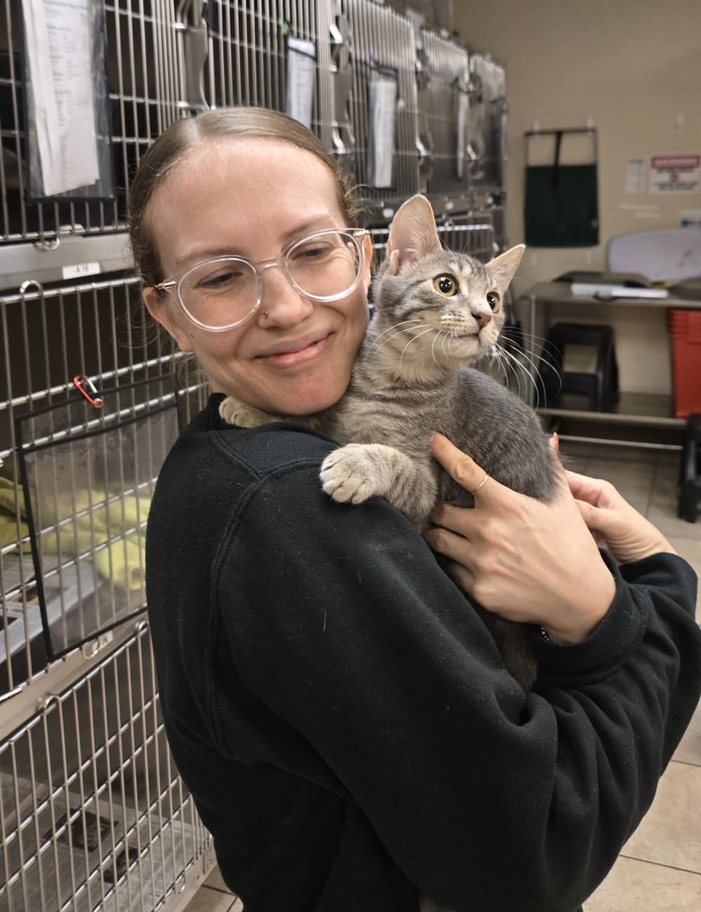 Paw Pact Rescue rescues, rehabilitates and finds forever homes for animals in need. (Courtesy Paw Pact Rescue) 