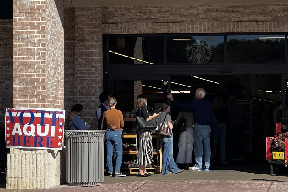 More Texans are voting early than in recent primaries, election data shows