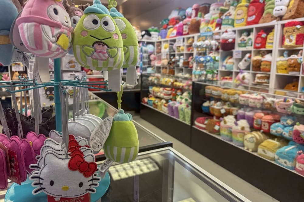 Plushes, puzzles and blind boxes: 5 local toy stores to check out for Christmas