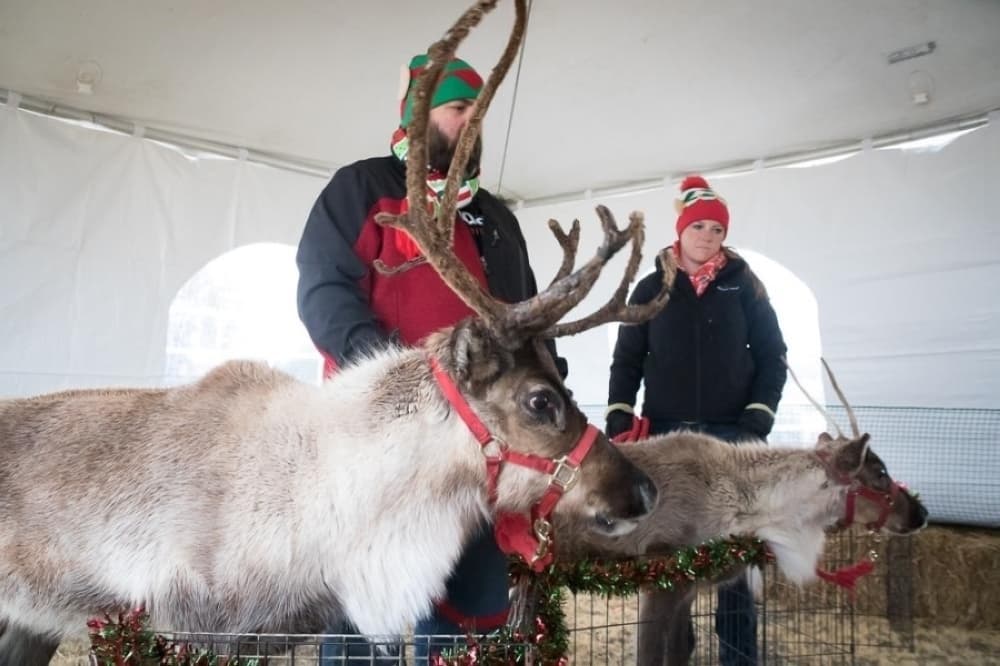 Kick off the holiday season with 9 events around Flower Mound, Highland Village, Argyle