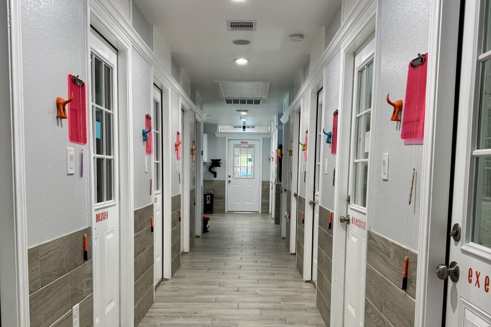 hallway of an animal hospital