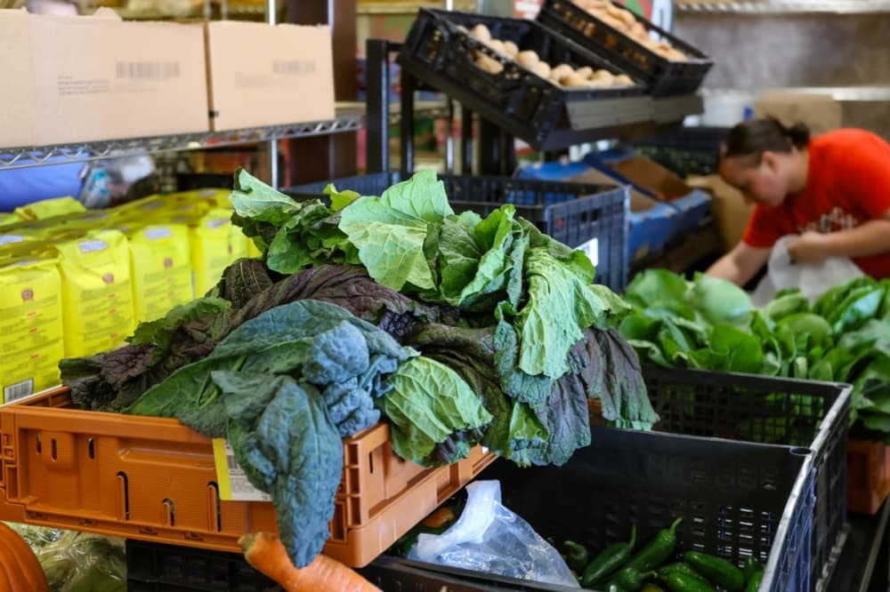 Shoppers at The Kitchen Table can receive assistance catered to their needs, choosing items from shelves stocked with canned goods, proteins, dairy and sweets. (Ethan Thomas/Community Impact)