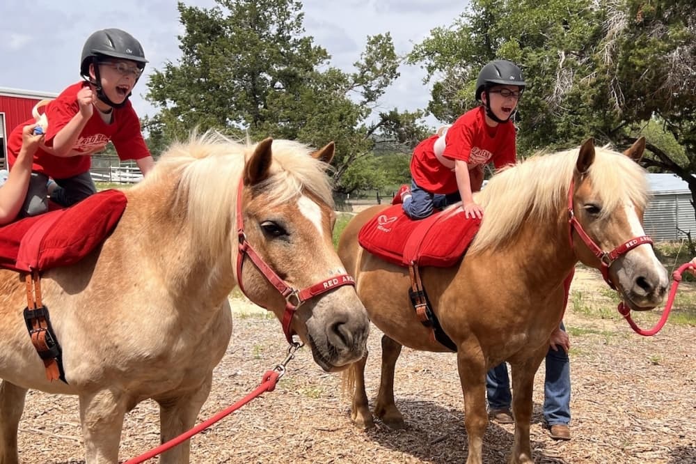 From supporting youth to helping animals: Check out 17 volunteer opportunities in Southwest Austin, Dripping Springs
