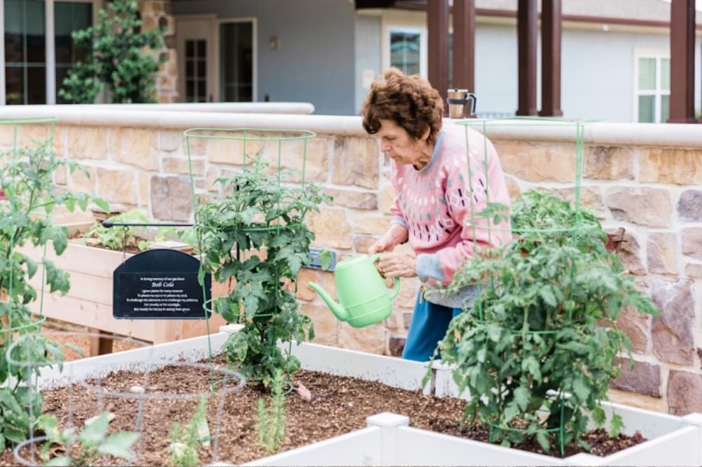a woman watering plants in a garden