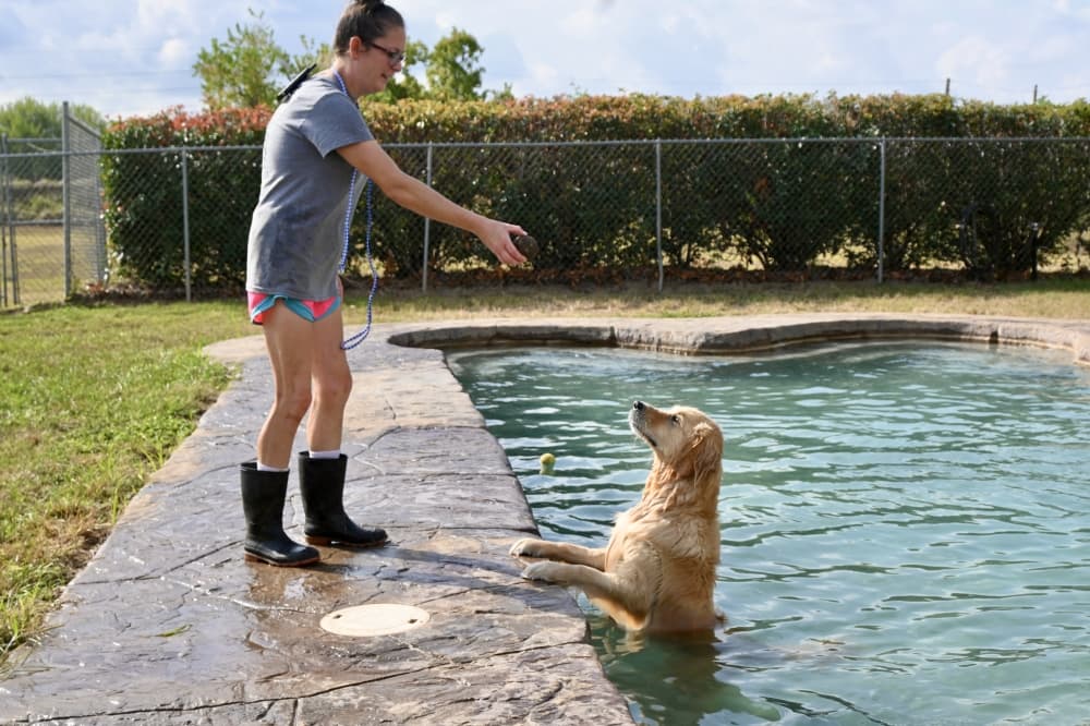 Waggin’ Tails offers a home away from home for Katy-Fulshear pets