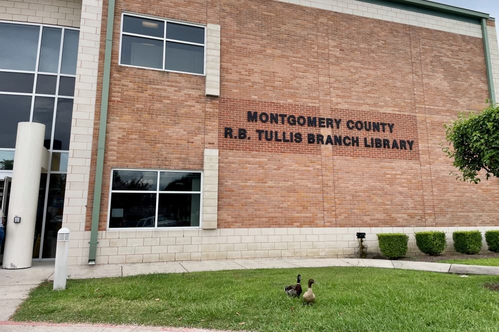 Thanksgiving story time, comedy roast battle: 8 events to attend Nov. 19-23 in New Caney, Porter