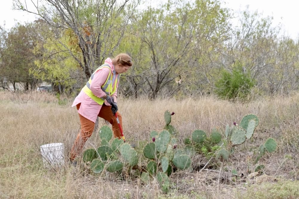 person walks in a grassy area with cactus
