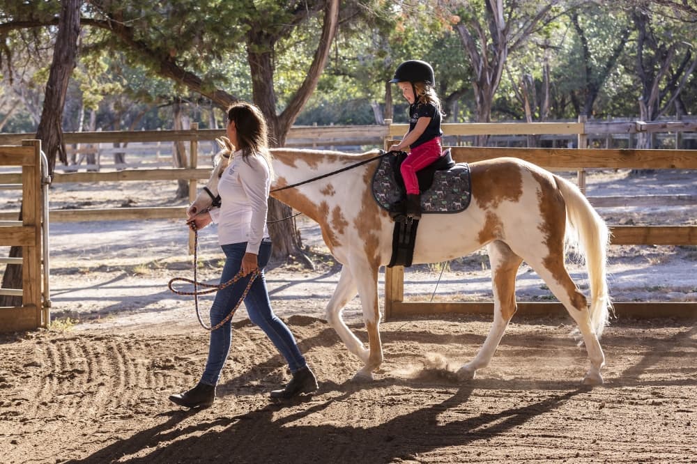 Firefly Equestrian brings riding and dressage facility to South Austin