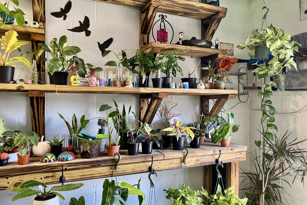 Burleson sells a selection of pots from wholesale vendors at no extra mark-up for customers. She will also pot plants at no additional charge. (Katlynn Fox/Community Impact)