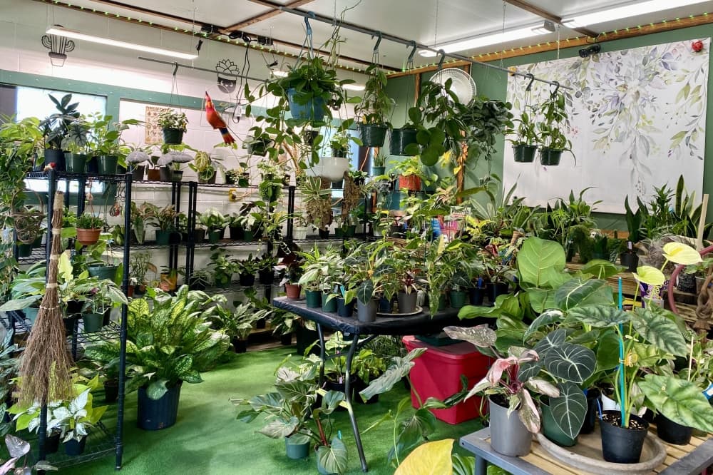 At Pflugerville Pfoliage and Plants, Burleson does not accept credit card payments, but does take Zelle, CashApp, Venmo and checks. (Katlynn Fox/Community Impact)
