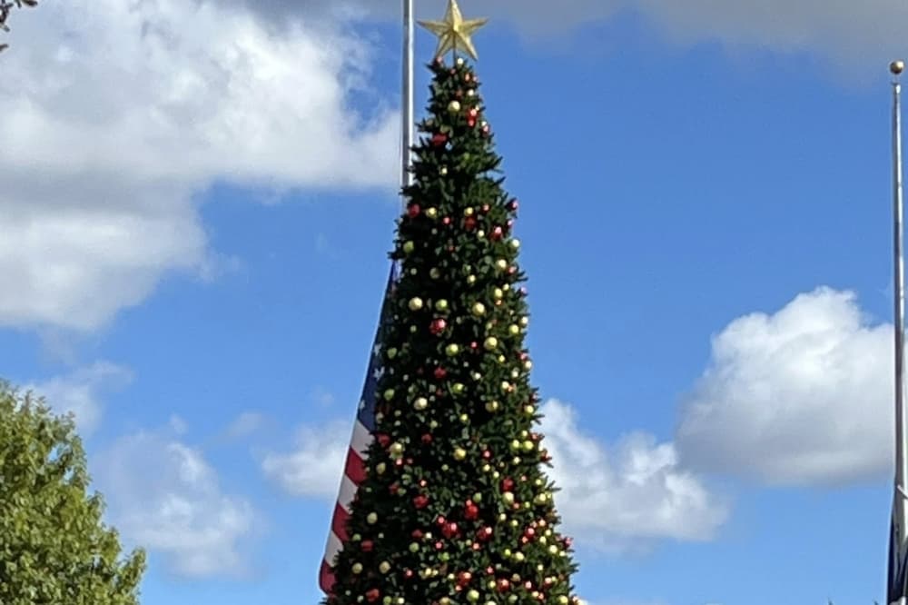 Friendswood to celebrate Christmas with 40-foot tree