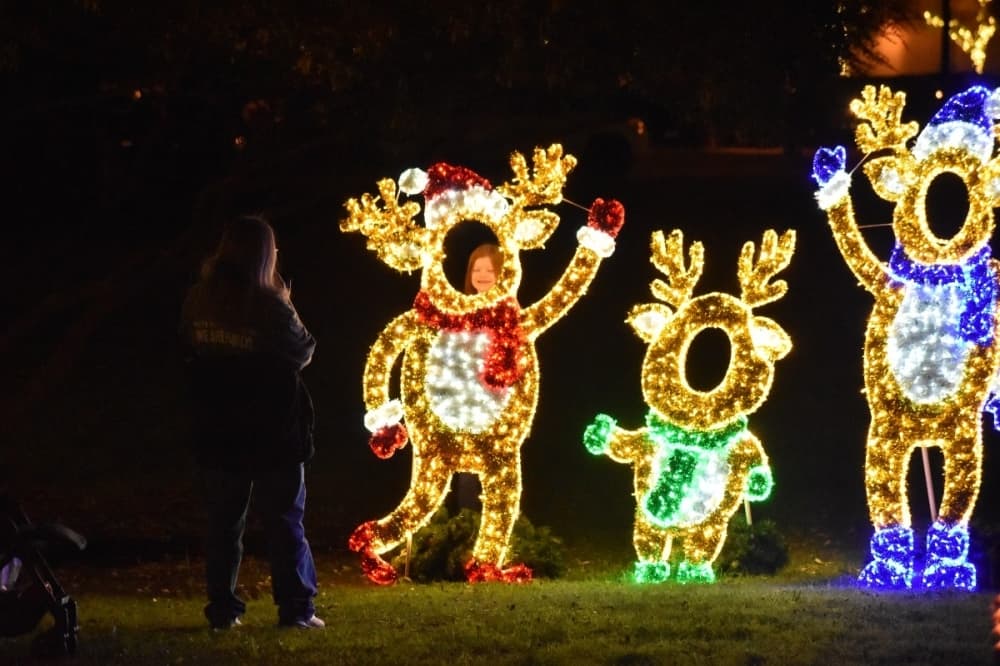 holiday lighted reindeer yard decorations