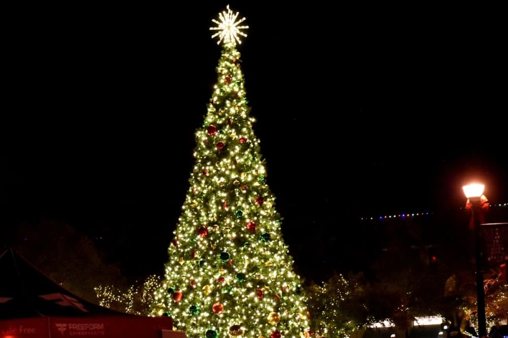 See photos from the 2025 Southlake Home for the Holidays event