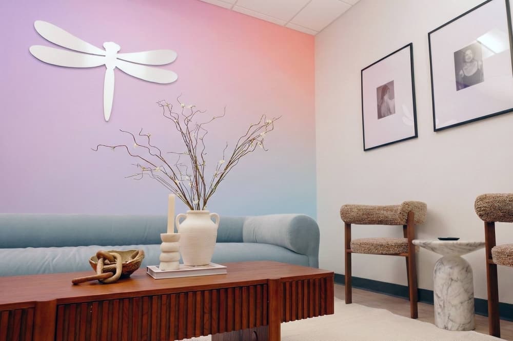 Dragonfly Scan offers health screenings in Plano