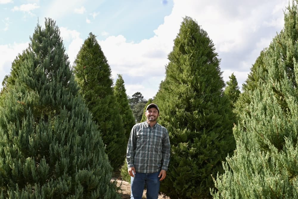 From strawberries to cypress trees, Froberg Farm continues to grow its legacy