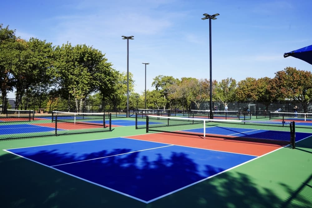 Trophy Club officials open Harmony Park pickleball courts to residents