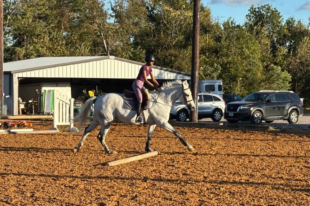 Female riding a horse in an outside arena. 