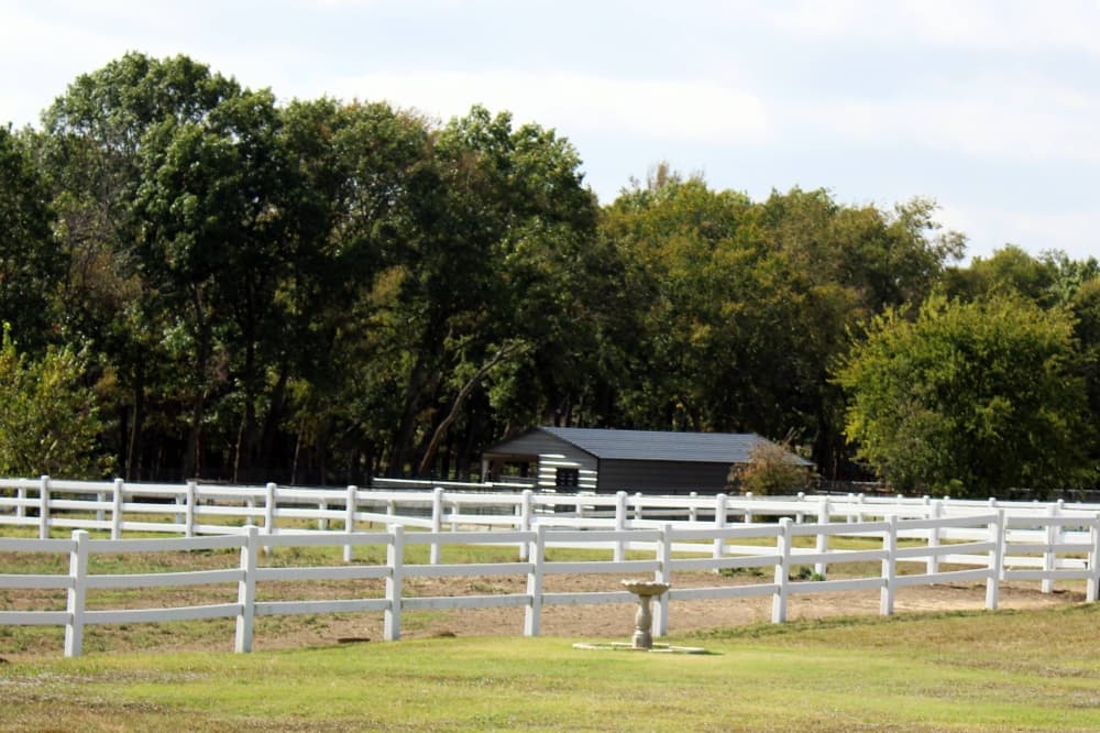 Fences on a tree-lined field.