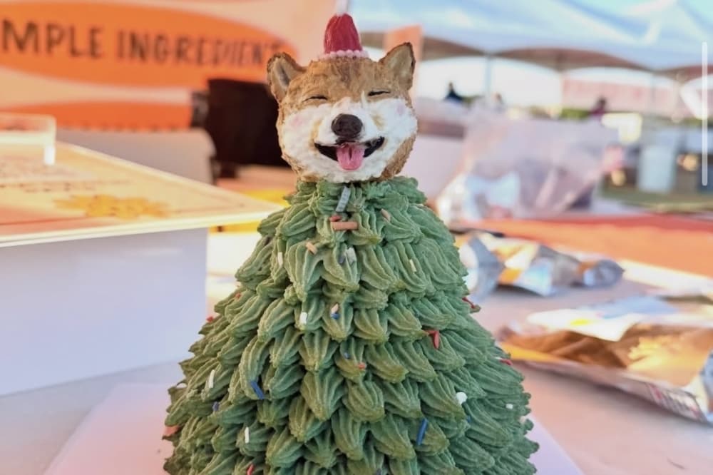 DELLO pet bakery in Liberty Hill brings treats and custom cakes
