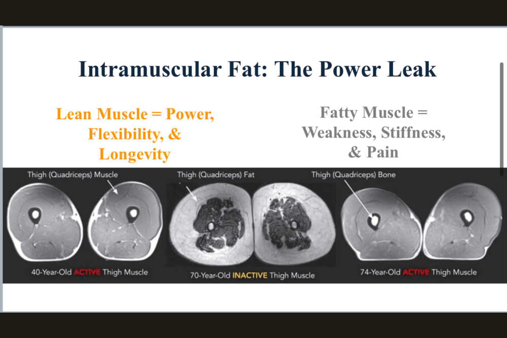 Muscle mass comparison chart
