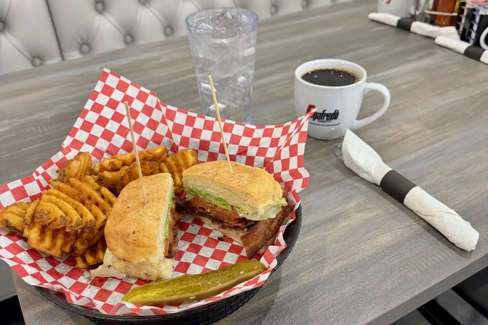 sandwich and fries