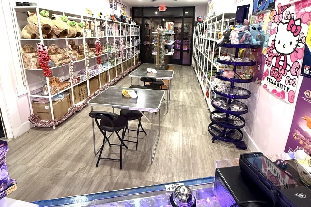 Treasure Trove Hobby Store takes over space in Hutto
