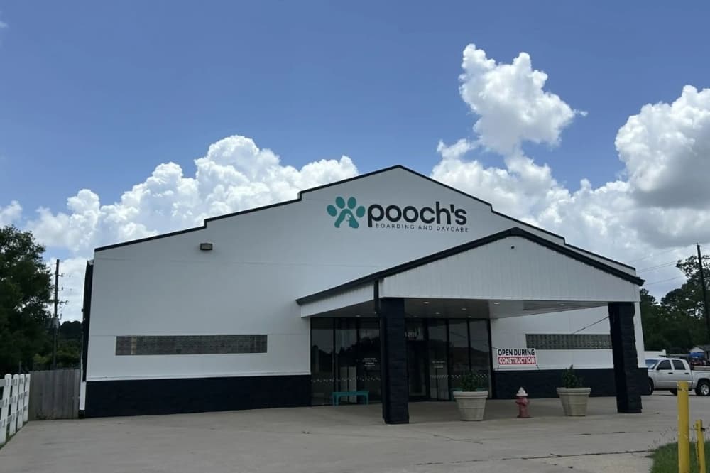 Pooch’s Boarding and Daycare wraps up remodel in Tomball