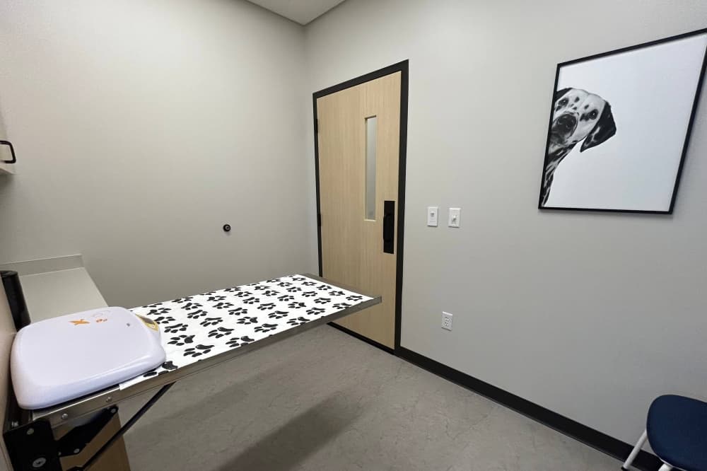 Plano Animal Hospital offers wellness care including annual wellness exams. (Karen Chaney/Community Impact)