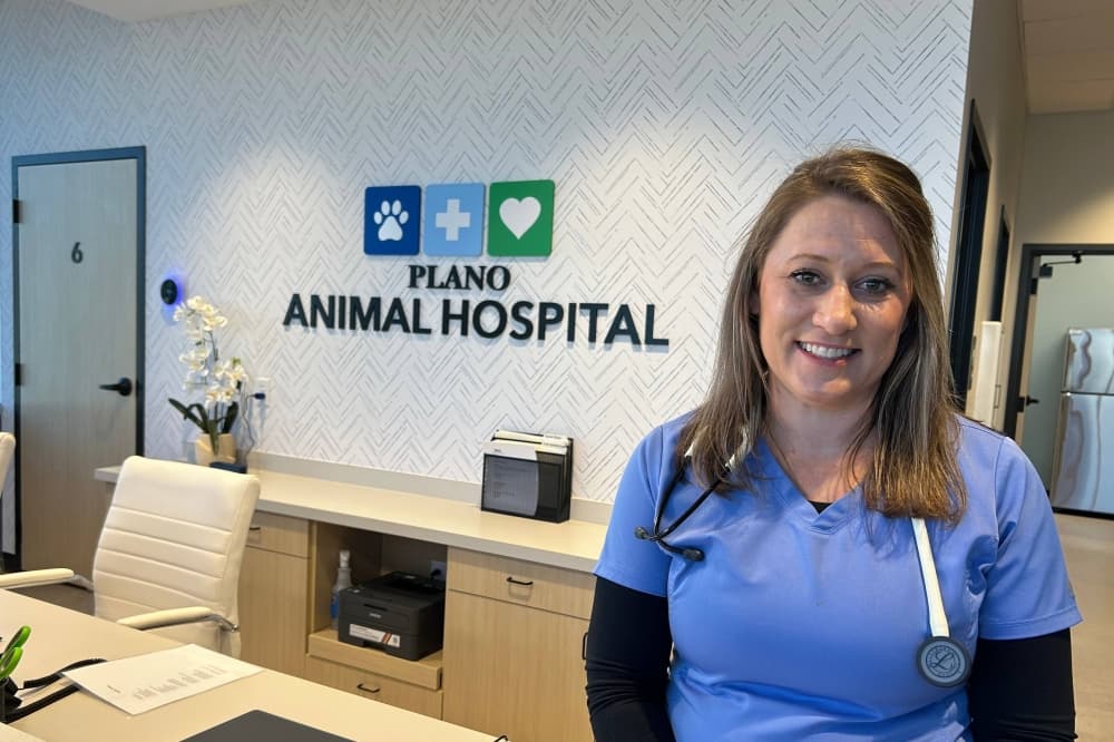Plano Animal Hospital offers wellness, surgical care in Plano