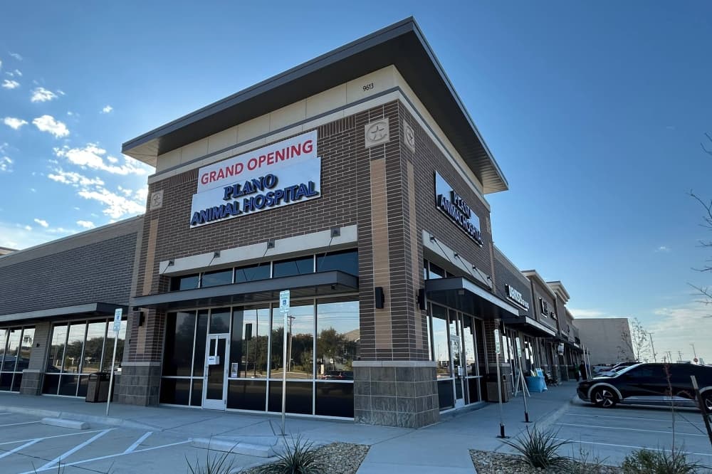 Exterior of a corner spot in a strip center featuring Plano Animal Hospital signage and a Grand Opening banner affixed to the buidling. 