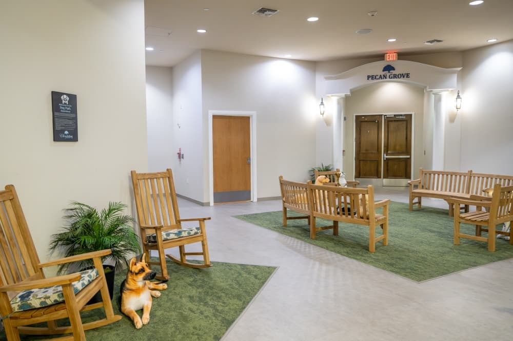 An interior dog park with benches, fake grass and dog sculptures