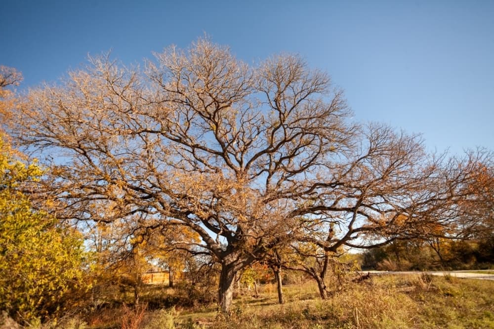 4 trail updates to know in New Braunfels